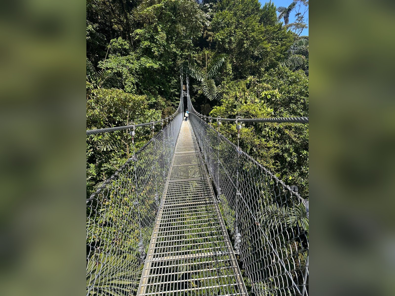 Costa Rica — Pacific sunsets, cloud forests and pura vida at its most genuine. (Central America) travel guide by Alpin Stays